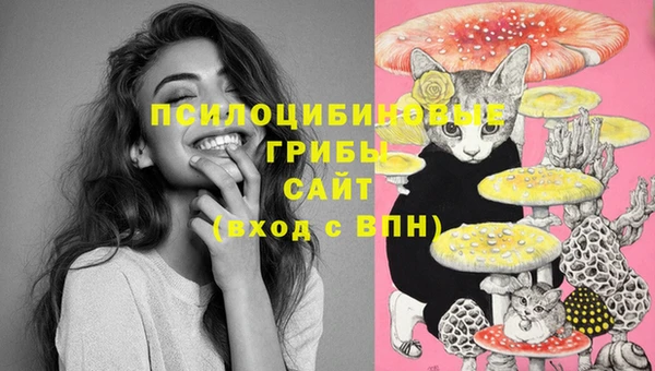 мдма Осинники
