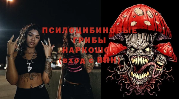 гашик Осташков