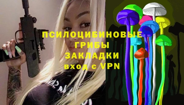 гашик Осташков