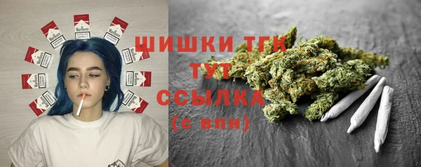 мдпв Нягань
