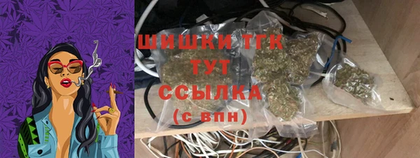 гашик Осташков