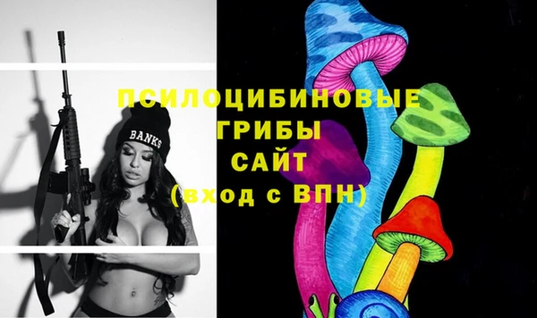 мдпв Нягань