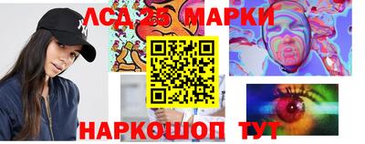 гашик Донецк