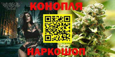 гашик Донецк
