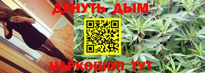 гашик Донецк