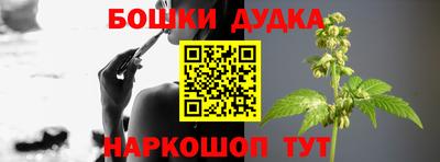 бошки Будённовск