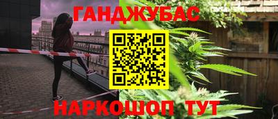 гидра Дубна