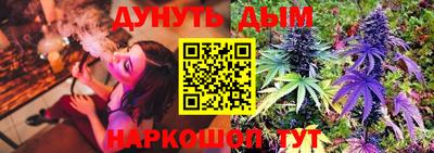 гидра Дубна