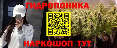 бошки Будённовск