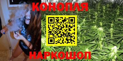 гашик Донецк