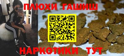 гидра Дубна