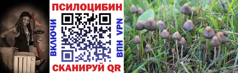 магазин    KRAKEN tor  даркнет состав  Кохма  Галлюциногенные грибы GOLDEN TEACHER 