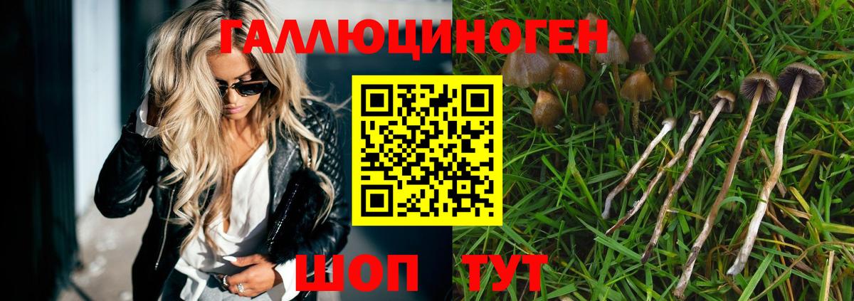 что такое   Кохма  Галлюциногенные грибы мухоморы 