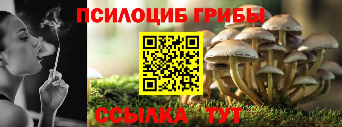 Галлюциногенные грибы прущие грибы  наркотики  Псилоцибиновые грибы мицелий  Кохма  Вход с VPN 