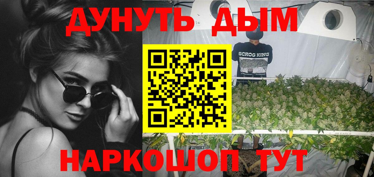 Каннабис White Widow  Вход с VPN  Кохма  Канабис план 